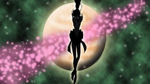  Sailor Moon