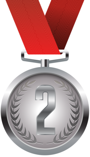  Silver medal for your friendship