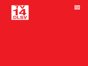  TV 14 DLSV 2008