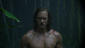  The Legend of Tarzan Обои