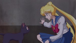  Usagi and Luna
