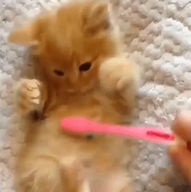 brushing