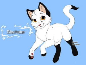  warrior Cats character ubunifu templates blackstar kwa warriorcatscrazy d5re2t2