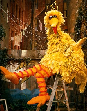  Big Bird (Sesame Street)