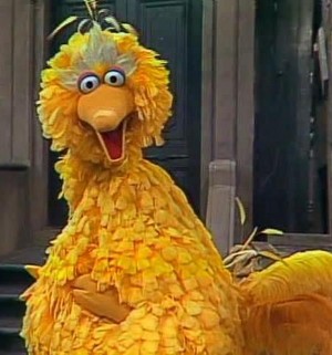  Big Bird (Sesame Street)