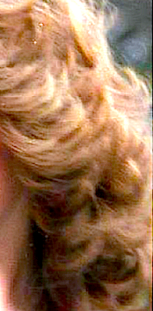 Debbie's Curls