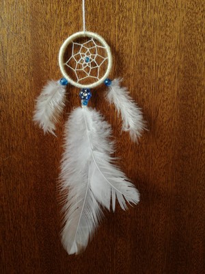  Dreamcatchers made by me.