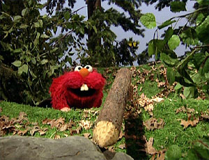  Elmo as a castor (Elmo's World)