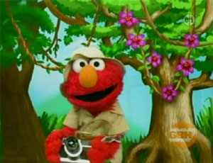  Elmo as a Nature Photographer (Elmo's World)