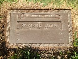  Gravesite Of Sylvester James