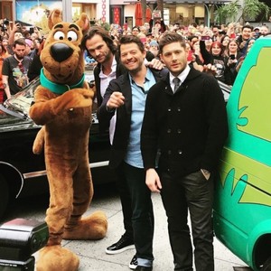  Jared, Jensen, Misha and Scooby-Doo