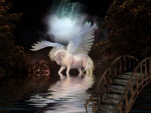 Magical Pegasus