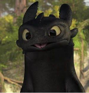  Ohhh Toothless...