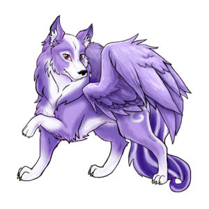  Purple Winged 狼, オオカミ