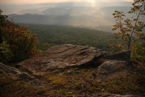  Signal Mountain, Tennessee
