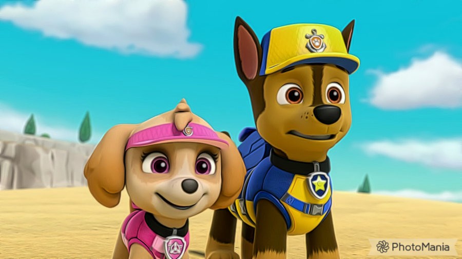 Source: Original picture found in the PAW Patrol relationship wikia. litrat...