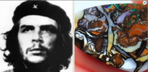  che.PNG