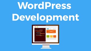  wordpress themes development