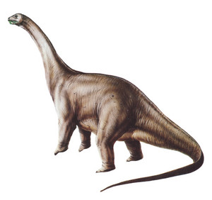  Apatosauro