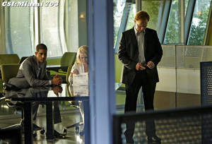  CSI: Miami ~ 7.03 "And How Does That Make 你 Kill?"