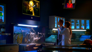  CSI: Miami ~ And How Does That Make 你 Kill?