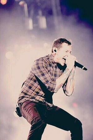  Chester💚