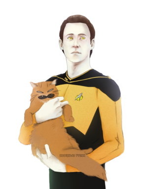  Data and Spot