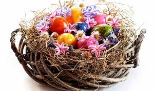  Easter/spring 💙