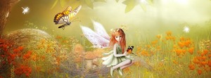  Fairy Banner/Header