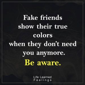  Fake vrienden