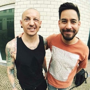  Mike/Chester🌹