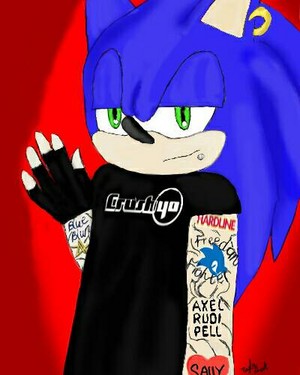  Punk Sonic