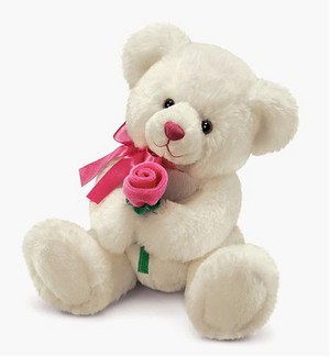  Teddy With Rose