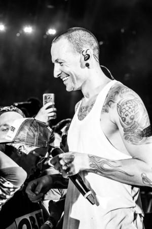  chester ♡