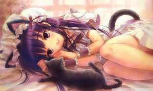  neko and cat Обои 800x480