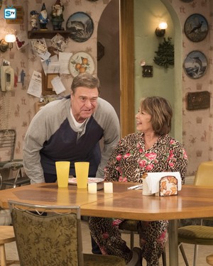  10x08 - Netflix and Pill - Dan and Roseanne