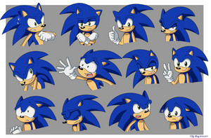  sonic s Expressions