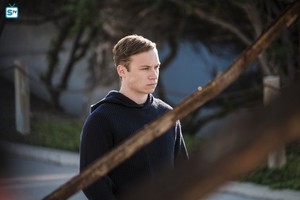  Animal Kingdom "The Killing" (3x01) promotional picture