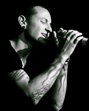  Chester🌹