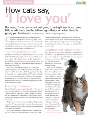  Clipping Pertaining To Cats Saying I Love u