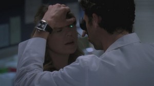  Derek and Meredith 341