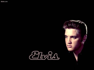  Elvis پیپر وال ♥