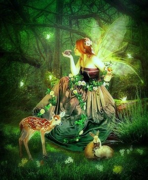  Fairies Of The Forest