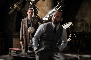  Fantastic Beasts and Where to Find Them 2