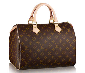  Louis Vuitton Handbag
