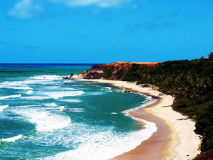  Pipa समुद्र तट (Brazil)
