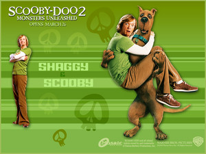  Shaggy And Scooby