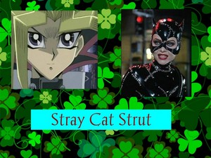  Stray Cat Strut
