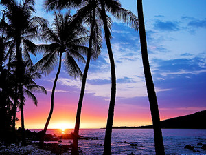  Sunset Beach,Oahu,Hawaii