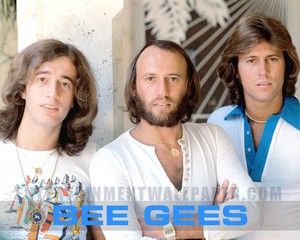  The Bee Gees